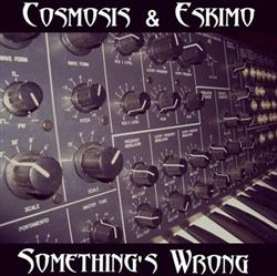 Download Cosmosis & Eskimo - Somethings Wrong