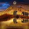 last ned album Mitosis , Miosis & Simon Sayz - Symbiosis