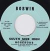 baixar álbum The Rosebuds - South Side High Hurry Baby