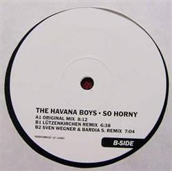 Download The Havana Boys - So Horny