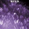 Album herunterladen Wind - Wind Friends